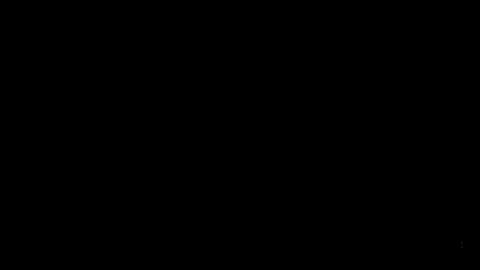 29007
