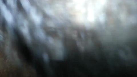 29038