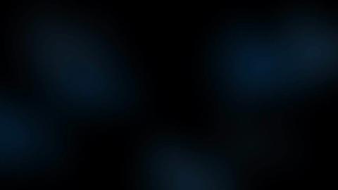 2363