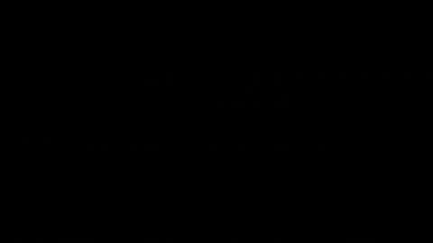 24061