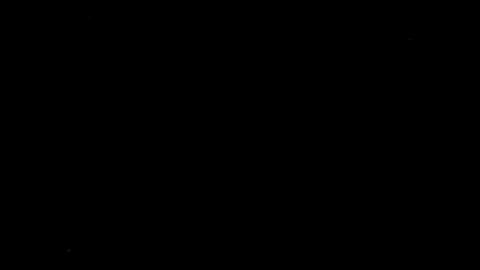 33606